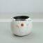 Design Fashion Samll Decoration Cute White Plastic Flower Pot Cover