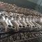 High speed two pump double nozzle heavy dobby water-jet loom/water jet loom textile machine