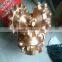 Steel tooth tricone bits,High quality,Drilling Bits,Rock Bits,water and oil well drilling