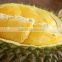 VIET NAM DURIAN- monthong durian