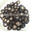 sale shiitake mushrooms in bag lowest price for shiitake mushroom for sale