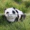 giant Lifesize big kid ride on panda plush toy