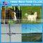 Export farm Fencing / wire netting / welded wire mesh fence panels