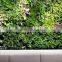 fake grass wall cheaper house use (110X50cm) artificial wall grass
