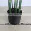 LXY160404 Green Plant Bamboo Bonsai,Artificial Fence Bamboo