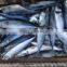 New promotion sea frozen pacific mackerel 200-300g for xcmg spares parts