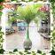 Guangzhou supplier artificial bottle palm tree customized plastic artificial bottle palm tree