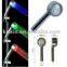 led shower head