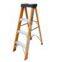 FRP LADDER