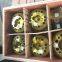 Apply to Metso Nordberg HP100 Multi-Cylinder Cone Crusher Spare Parts Locking Bolt