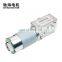 chihai motor CHW-GW4058-555 ABHL  hith torque max 95w DC 24V  dc worm gear motor with encoder for  parking lock