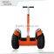 China shenzhen professional cheap smart Golf Cart Electric Bicycle
