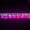 3 Years Warranty 296pcs 296x 5W Cheap Led Grow Lights