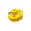 UHMWPE Anti Abrasion Plastic Gear Ring Gear Wheel