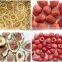 Frucht-Trockner/Geb?cktrockner/Industrielle Lebensmitteltrockner