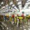 factory price canned fish processing line