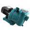 1.5hp 2hp 3hp Pool Water Pump Circulation Endless Swimming Pool Filter Pump