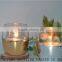 Payment Protection Gold Dipped Eggs Votive Holders Christmas Gold Tealight Candle Holders Quality Choice