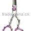 Salon Scissors