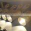 2016 hot sales cob led spotlight 30w