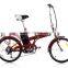 Cheap 250W Electric Bicycle, Steel Frame Electric Bike at High Quality