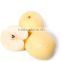 Chinese style wholesale fresh pears