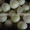 2014 New Crop High Quality Yunnan Fresh Yellow Onion