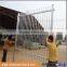 Factory hot dipped galvanized and powder coated ornamental iron steel fence (Tread Assurance)