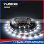 Cool White DC 12V/24V 120 LEDs/Meter SMD White LED Strips Light