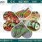 Excellent dog chewing food machine/chewing machine feed dogs with CE