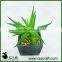PVC Small Mini Artificial Potted Aloe Plant in Black Pulp Pot for Wholeselling