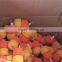 galvanised wire scourer smesh scourer Stainless Steel Mesh Scourer
