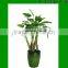 Artificial Taro/Dieffenbachia/small trees used for home or office decoration