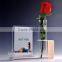 Wholesale Clear acrylic glass vase for home decration, jardiniere