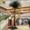 Wholesale artificial palm tree fiberglass artificial fan palm tree