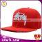 flat brim snapback caps hat