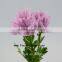 Single Stem Chrysanthemum Flower Cheap With 10 Stems/Bundle Mini Real Touch Big-Chrysanthemum Flower With 0.5kg/Bundle Chrysanth