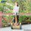 2016 10 inch Latest balance car 2 Wheel Smart Electric Self Balance Scooter with handle Hoverboard Roller Hover Standing