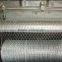 Galvanized Hexagonal Wire Netting/China chiken netting