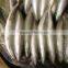 Frozen Whole Round Mackerel Size 200-300g/pcs for Sale