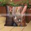 custom cartoon fancy cushion cover