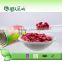 good quality chinese canned red kidney beans