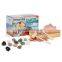 Geological Treasure of the Earth Dig Kit