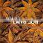 Vietnam Star Aniseed/Star Anise GRADE 1(Viber/Whatsaap: +84965152844)