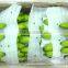 Fresh Green Bananas for Sale