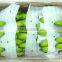 Fresh Green Cavendish Bananas