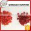 China origin cheap dried cherry fruit