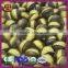 2016 Organic IQF Ringent Roasted Chestnut