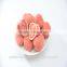 dried fruit chocolate chips with fast delivery 13