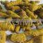 Turmeric fingers, origin Vietnam, high quality, organic, by HAGIMEX